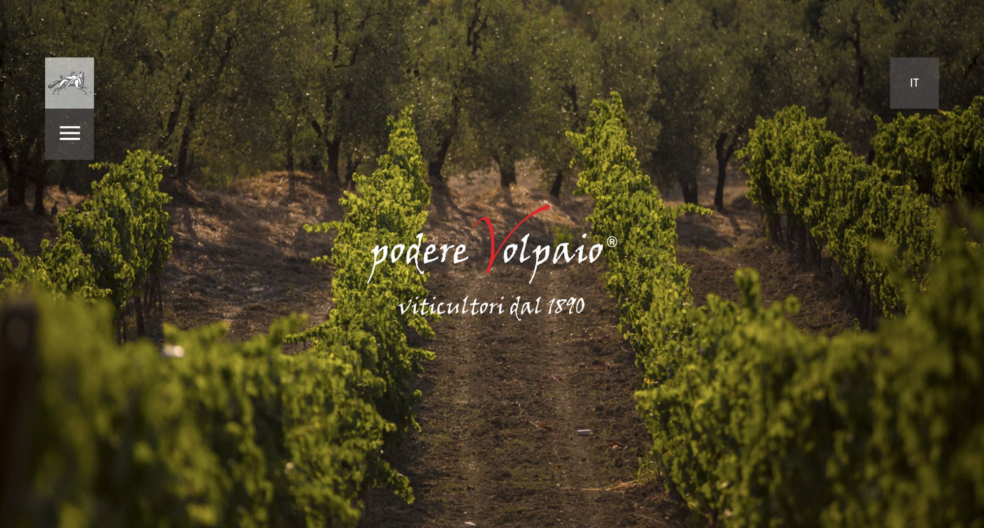 wowcreatives-podere-volpaio-wine-website
